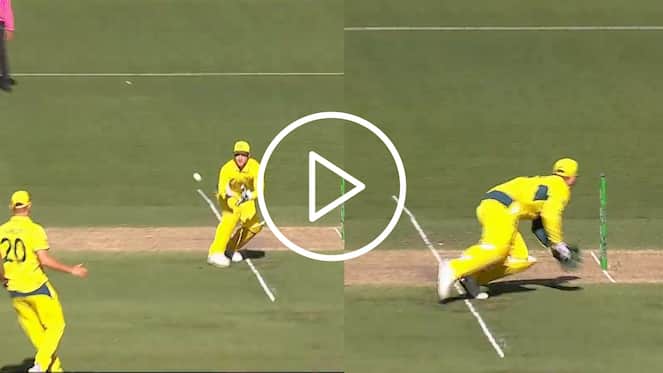 [Watch] Josh Inglis' 'Silly Blunder' vs West Indies Grabs Eyeballs During AUS-WI 1st ODI